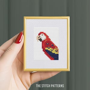 May include: A framed cross-stitch pattern of a red, yellow, and blue macaw. The macaw is facing to the left and has a white face. The frame is gold.