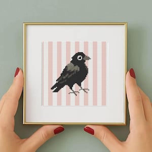Op de afbeelding: Een ingelijst kruissteekkunstwerk met een zwarte kraai met een wit oog, tegen een roze en wit gestreepte achtergrond. Het kunstwerk wordt gepresenteerd in een goudkleurige lijst, vastgehouden door handen met rode nagellak.