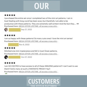 Puede incluir: Una captura de pantalla de rese&ntilde;as de clientes para una tienda de patrones de punto de cruz. Las rese&ntilde;as son positivas y mencionan la calidad de los patrones y la buena relaci&oacute;n calidad-precio. El nombre de la tienda es "The Stitch Patterns".