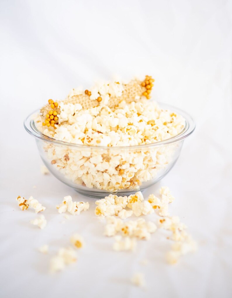 Popcorn on the Cob Pops off the Cob Poppin' Cobs Twin Pack Etsy