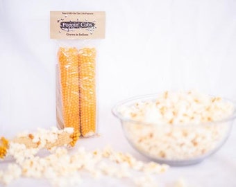 Popcorn On the Cob Stocking Stuffer Special (3 Poppin’ Cobs Twin Packs), Popcorn Gift, Christmas Gift, Gourmet Popcorn, Farm Fresh Popcorn