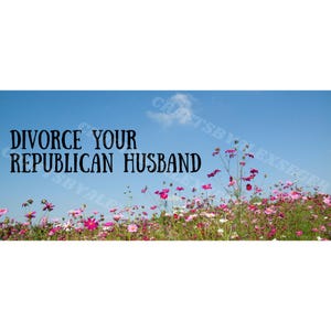 Divorce Your Republican Husband Bumper Sticker