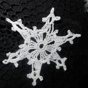 Crocheted Snowflake Poinsettia Tree Decorations Gift Tags Window Decorations