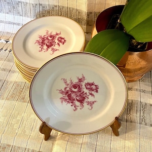 Set Of 10 Dessert Plates Thomas 7364 Made in Germany Pink Floral Center Gold Trim 1950s KPP12