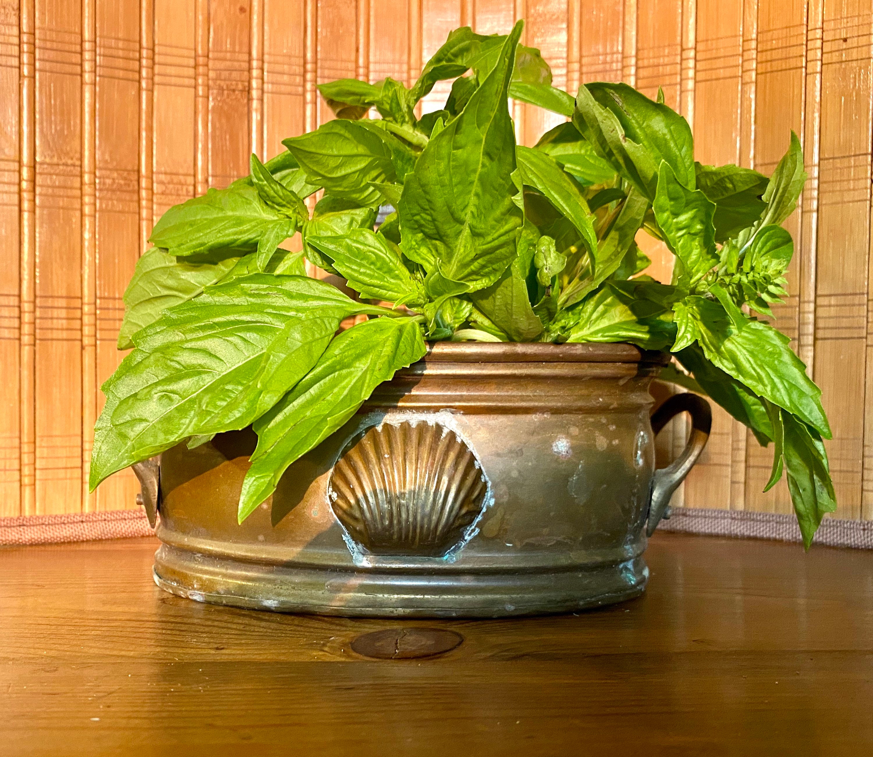 Hand Made Copper Pot With Handles Cachepot Planter Seashell Etsy