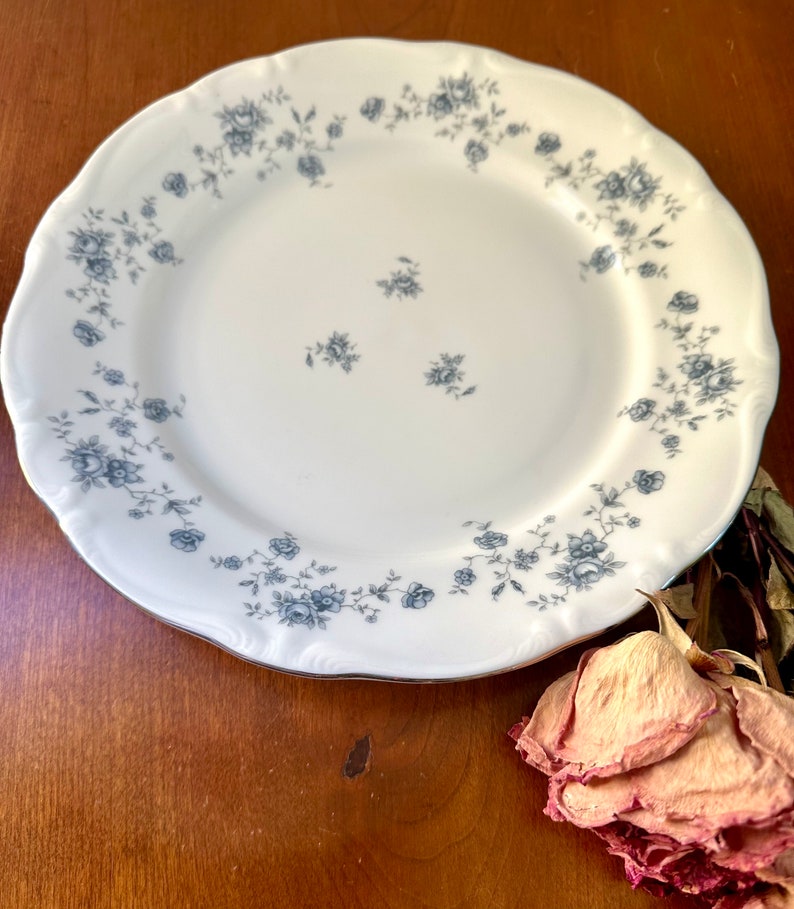 Johann Haviland Garland Dinner Plate - Thumbnail 5
