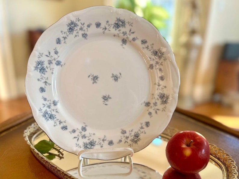 Johann Haviland Garland Dinner Plate - Thumbnail 4