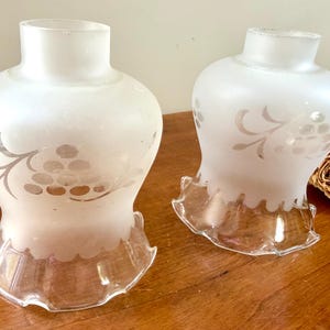 Peut inclure: Deux abat-jours en verre dépoli ornés d'un motif gravé transparent représentant des grappes de raisin et des vignes. Chaque abat-jour présente un corps bombé, un col étroit et un bord évasé en verre transparent à volants à la base.