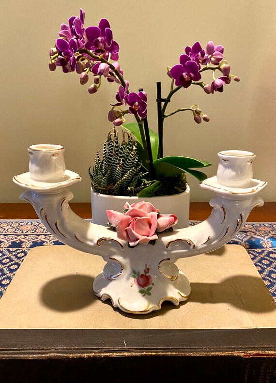 アンティーク ドレスデン・金彩手彩色花散紋 ハイハンドル キャビネットカップ