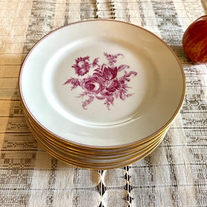 Set von 7 Salat Teller Thomas 7364 Made in Germany rosa Floral Center Gold Trim 1950er Jahre KPP13