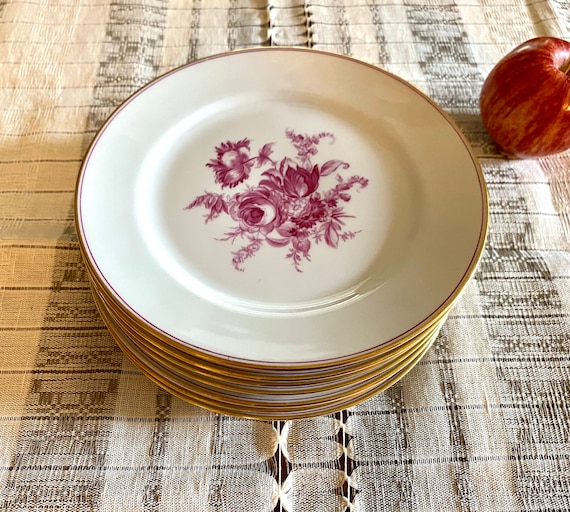 Set of 7 Salad Plates Thomas 7364 Made in Germany Pink Floral