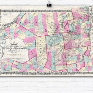 Vintage 1867 Adirondack Mountains Map Reprint image 1