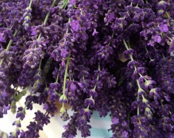 Lavender Bunch Digital Download