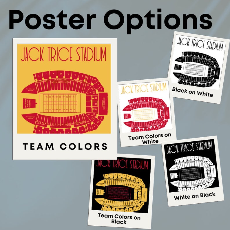 Memphis Grizzlies Fedex Forum Stadium Poster Print image 10