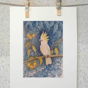 Kakadu Print: Australische Ureinwohner-Vogel-Aquarell-Kunst (5x7 Bild, 8x10 mit Passepartout)