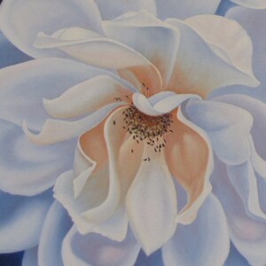 May include: A close-up of a white rose with a soft, peach-colored center. The petals are delicate and layered, creating a sense of depth and texture.