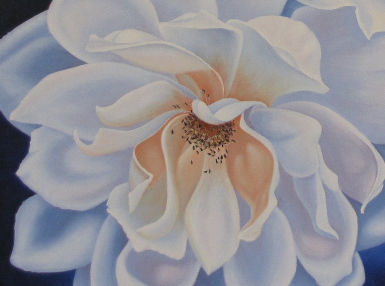 May include: A close-up of a white rose with a soft, peach-colored center. The petals are delicate and layered, creating a sense of depth and texture.