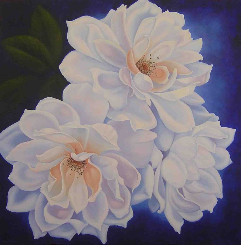 May include: Three white roses with delicate pink centers are arranged against a dark blue background. The roses are in full bloom and have a soft, velvety texture.