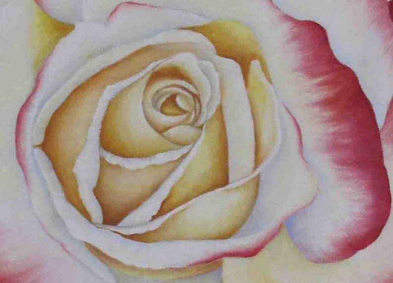 May include: A close-up of a white rose with a yellow center. The petals are soft and delicate, with a hint of pink at the edges.