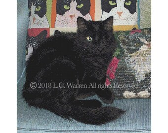 Counted Cross Stitch - Cat's Eye - CHART ONLY - PDF - Original Design by L.C. Warren - Black Cat
