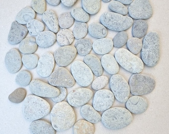 Grey beach stones (55 pieces) for jewelry making, painting, terrarium, pebbles from the Latvian Baltic Sea coast, stones craft supplies