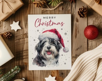 Bearded Collie Christmas Card