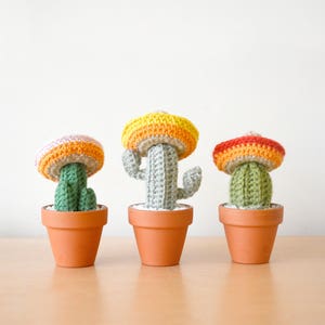 3 Amigos Mini Crocheted Cacti Set