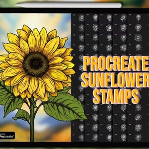 Sellos de girasol de Procreate Sellos de girasol de Procreate