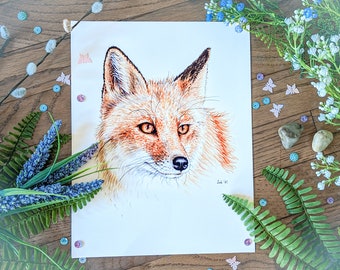 Fox wall art decor, realistic red fox art print, woodland nursery decor, 5x7 8x10 11x14 illustration, gift for wildlife biologist, nature