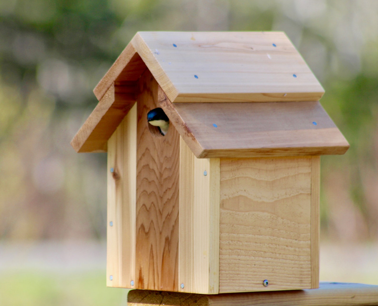Build Nesting Boxes. Nesting box