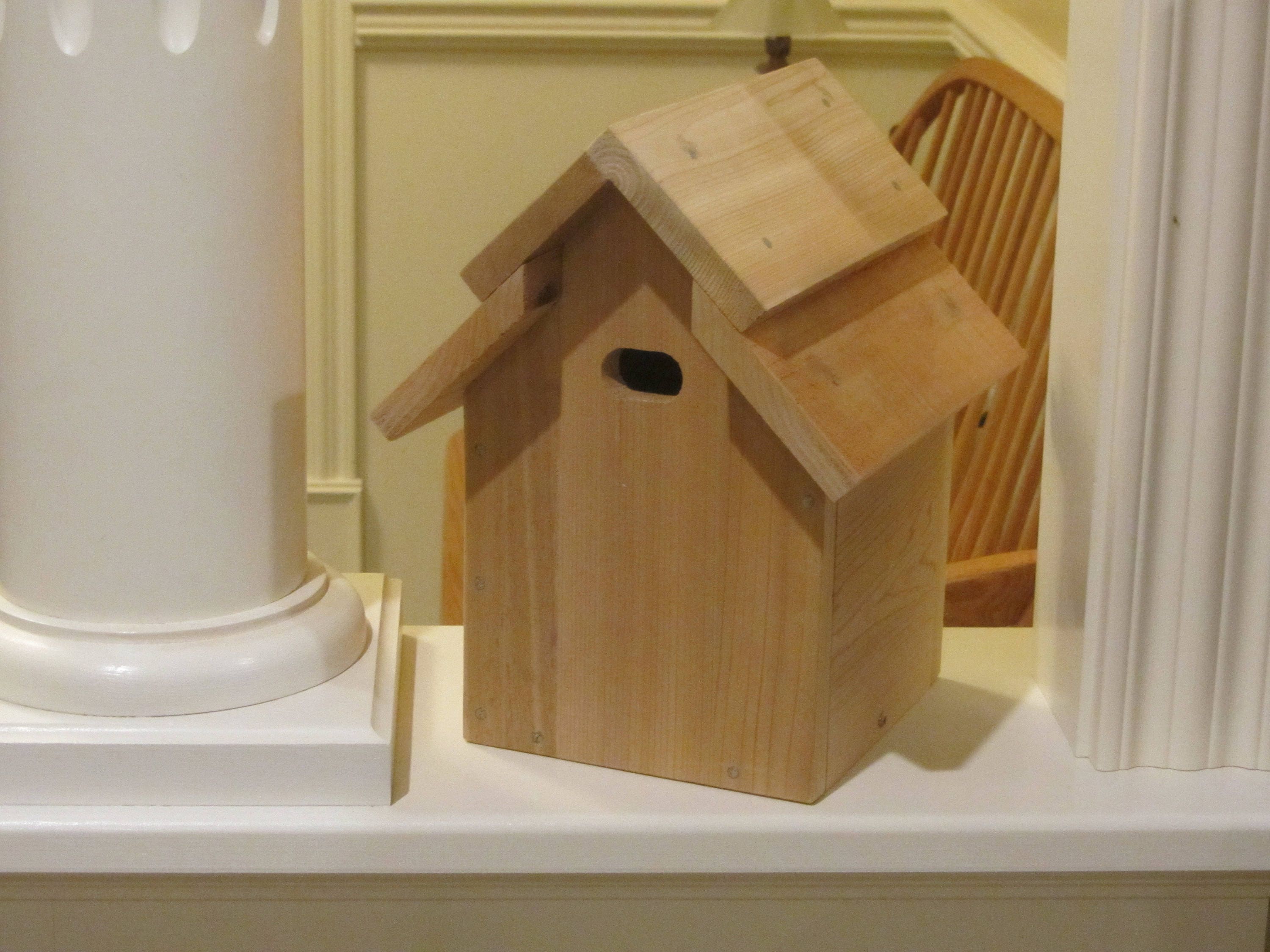 Cedar Tree Swallow Nesting Box/Bird House Etsy