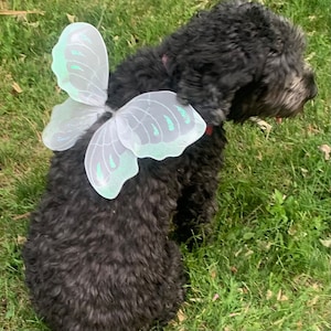 Dog Fairy Wings Pet Costume Puppy Photo Props Handmade Dress-up Outfits Small Breed Pug Yorkie Pom Shihtzu Chihuahua Fur Baby Gift Set Ideas