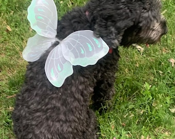 Dog Fairy Wings Pet Costume Puppy Photo Props Handmade Dress-up Outfits Small Breed Pug Yorkie Pom Shihtzu Chihuahua Fur Baby Gift Set Ideas