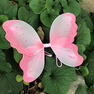 May include: Pink fairy wings with glitter accents. The wings are made of a sheer fabric and have a delicate, feminine look.