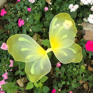 May include: A pair of yellow butterfly wings with a delicate, translucent texture. The wings have a subtle shimmer and are adorned with a simple, elegant design.