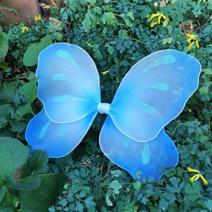May include: A pair of light blue butterfly wings with glitter accents. The wings are made of a sheer fabric and are attached to each other with a white ribbon.