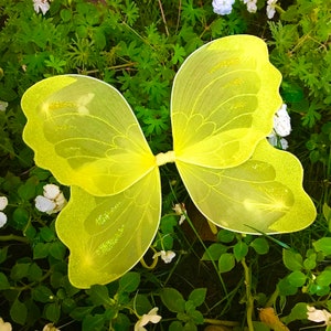 May include: A pair of yellow fairy wings with a glittery trim and accents. The wings are made of a sheer, lightweight material and are connected by a yellow band. The wings are set against a background of green foliage and small white flowers.