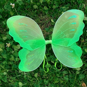 May include: Green fairy wings with glitter accents. The wings are made of sheer fabric and have a delicate, whimsical design.
