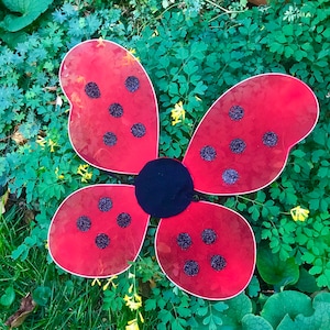 May include: Red and black butterfly wings costume with black spots. The wings are made of a sheer fabric and are attached to a black elastic band.