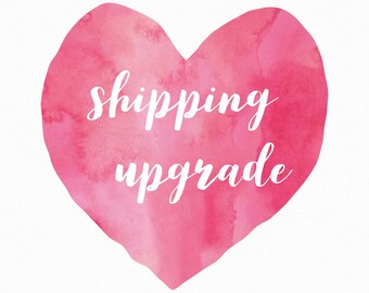 Shipping Upgrade - First Class to Priority Mail or Express RUSH - Your Choice of Delivery Upgrade Option