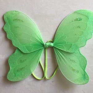 May include: Green butterfly wings with glitter, made of sheer fabric and attached with an elastic band.