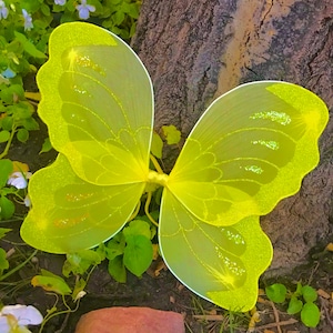 May include: Yellow butterfly wings with glitter accents. The wings are made of sheer fabric and have a delicate, whimsical look.