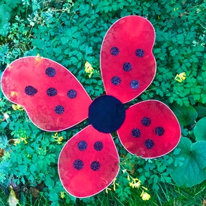 Ladybug Halloween Costume Fairy Wings Baby Girl Toddler Child Kids Teen Womens Red Black Polka Dots Gift Set First Birthday Photo Prop Ideas