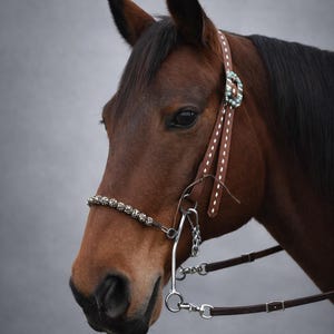May include: A brown horse's head, adorned with a leather bridle. The bridle has silver and turquoise details. The horse's dark mane contrasts with its lighter brown coat. The bridle includes a silver bit and chain.