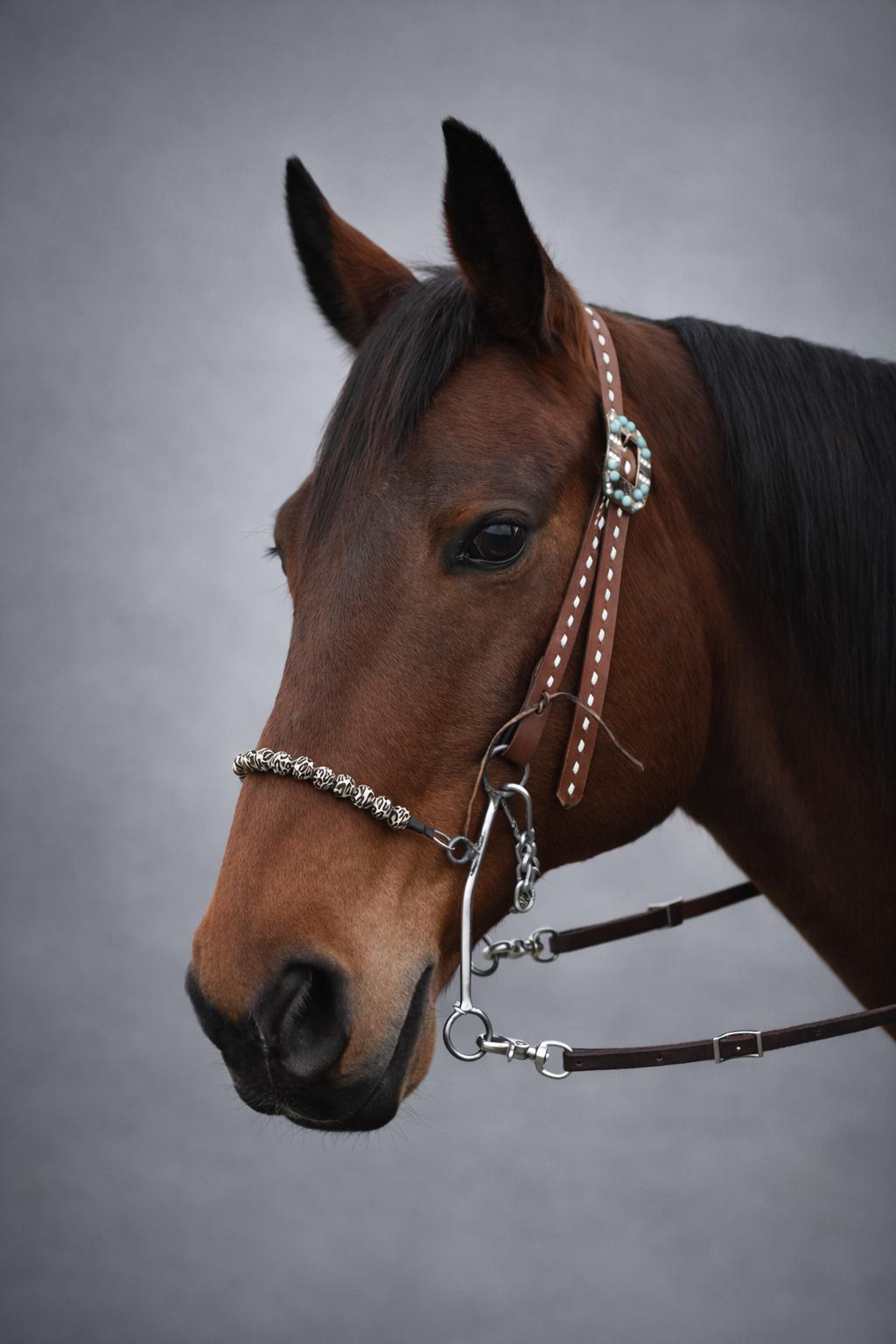 équipement équestre Sans Mors Neuf Hackamore Sans Mors Pour Cheval En Cuir Noir Avec Rembourrage Néoprène - Challenger 35H59 - Neuf Hackamore Challenger 35H59 Neuf équipement équestre Sans Mors Neuf Hackamore Sans Mors Pour Cheval En Cuir Noir Avec Rembourrage Néoprène - Challenger 35H59 - Neuf Hackamore Challenger 35H59 Neuf