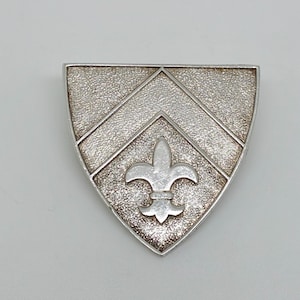 May include: A silver-toned shield-shaped brooch featuring a textured surface with two raised chevron lines and a central fleur-de-lis emblem. The metal has a matte, granular finish with polished edges and a smooth, shiny fleur-de-lis design.