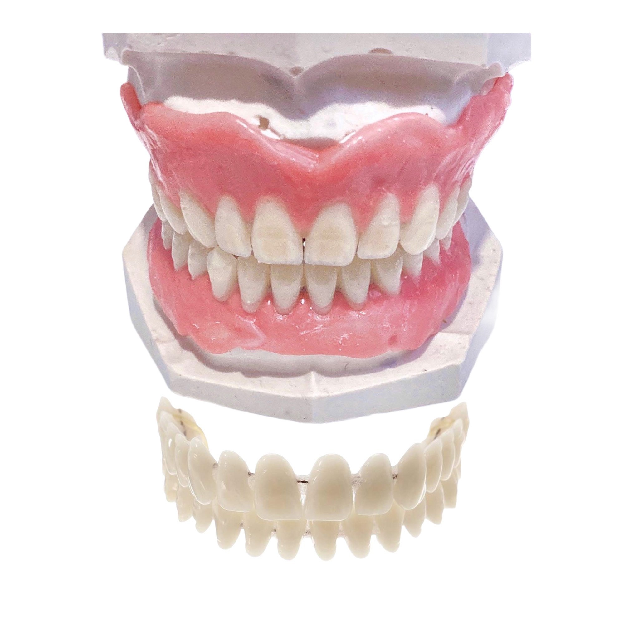 False Teeth for sale Only 2 left at 70 False Teeth for sale Only 2 left at 70