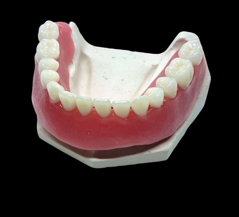 Diy Denture Kit Amazon / Do It Yourself Denture Kit Make Your Own