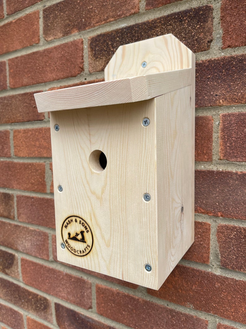 Blue Tit Box Bird Box Bird