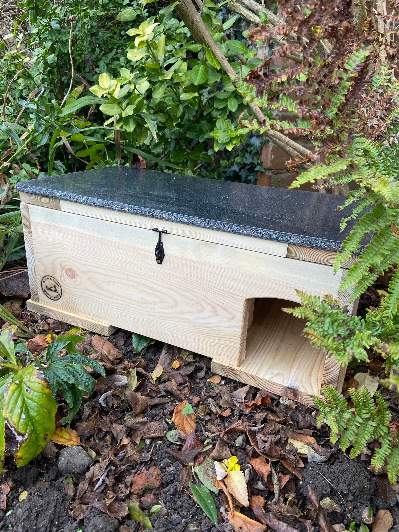 Hedgehog Feeding Station Eco Friendly Made to Last Etsy